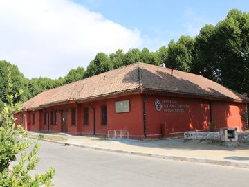 Museo de Historia Natural de Concepción