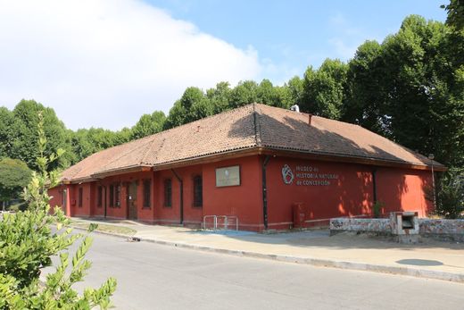 Museo de Historia Natural de Concepción