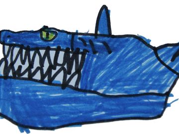 Tiburón, Mateo 6 años