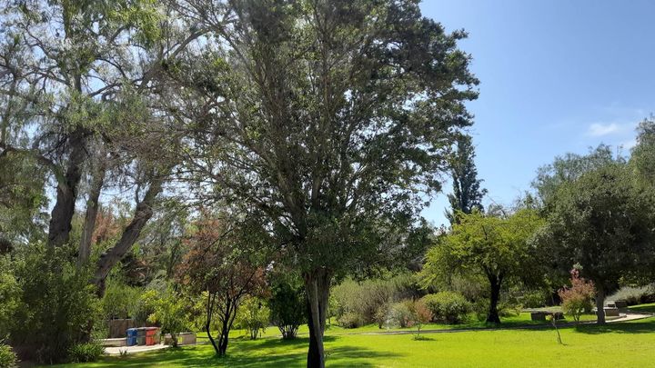 Jardín Poético Museo Gabriela Mistral de Vicuña Jardín Poético Museo Gabriela Mistral de Vicuña
