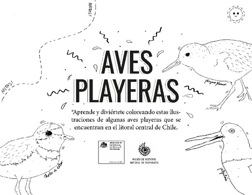 Cuadernillo pedagógico aves playeras