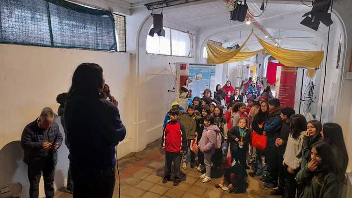 vagón vagón