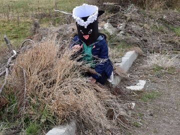 Un pequeño chingue nos observa entre el pasto.