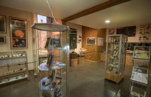 Museo CIMA Museo CIMA