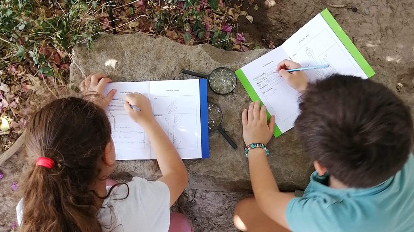 Infancias realizando actividades educativas en Museo Regional de Rancagua