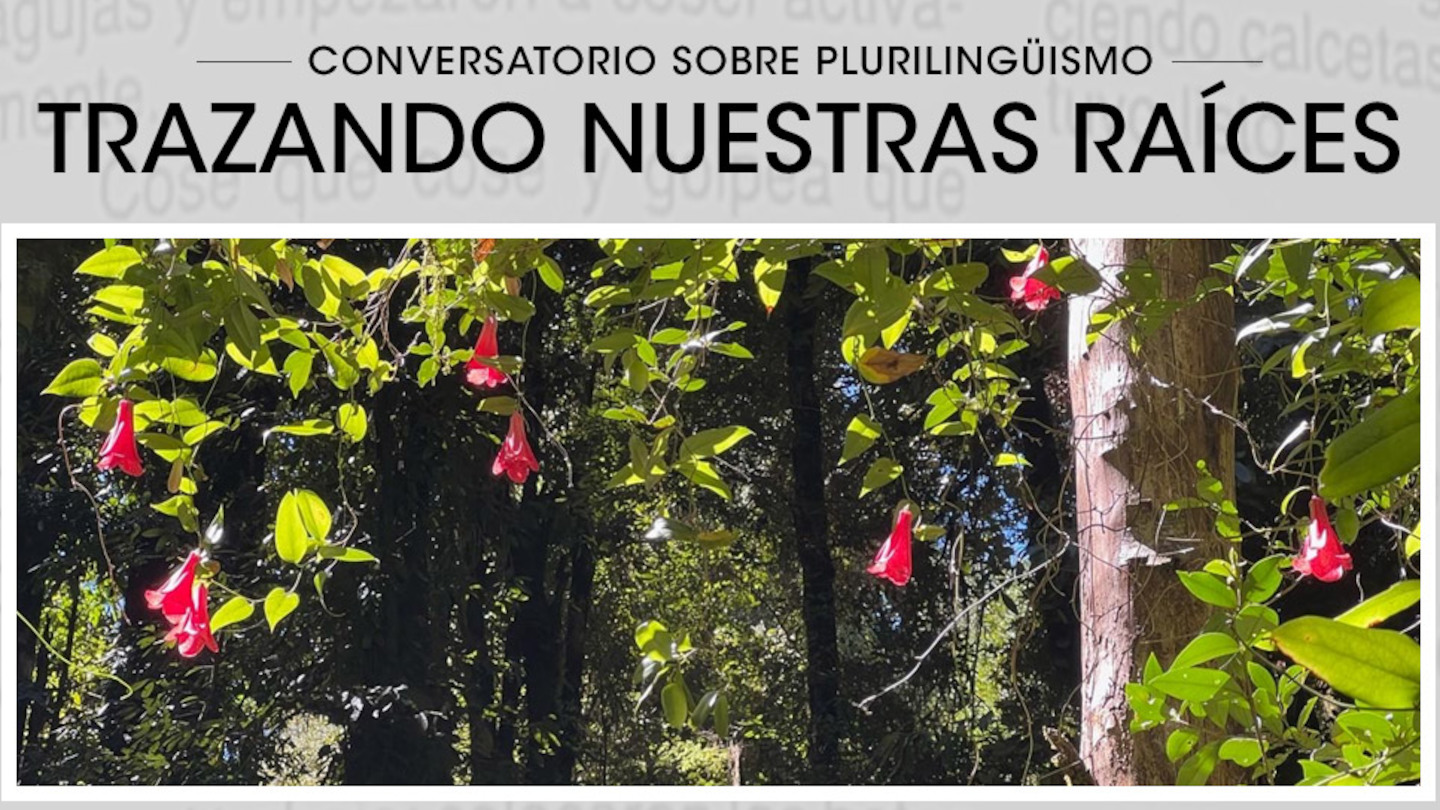 Plurilingüismo Plurilingüismo