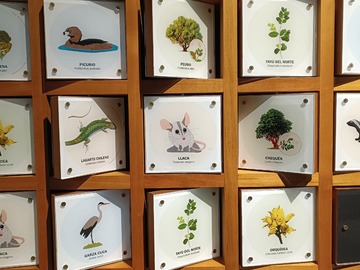 memorice Flora y Fauna de Placilla