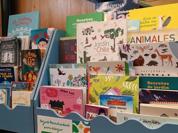 Colección de libros de Ludoteca