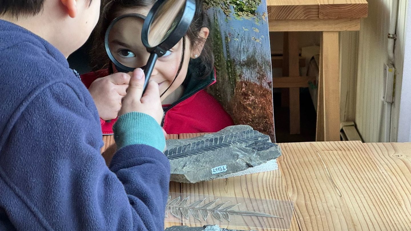 Taller educativo de observación de fósiles de la Colección Paleontológica de Antártica y Patagonia