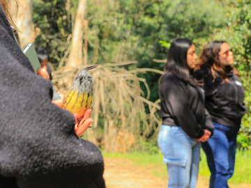 Las aves con su sabiduría guiaron nuestro recorrido, revelando diferentes datos curiosos del entorno y de la biodiversidad presente en este valioso ecosistema.
