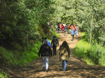 El grupo se internó en el bosque en dirección al Humedal Piñacha, disfrutando del entorno natural y la compañía compartida.