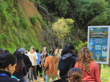 Caminamos juntos hasta el final de la ruta de las aves sabias, cerrando la jornada en contacto con la naturaleza y la comunidad.