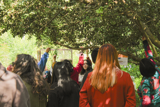 Realizamos “La ruta de las aves sabias”, un recorrido dirigido por el área educativa del museo, dónde conocimos especies nativas del Parque Potrerillos como el Molle Peludo.