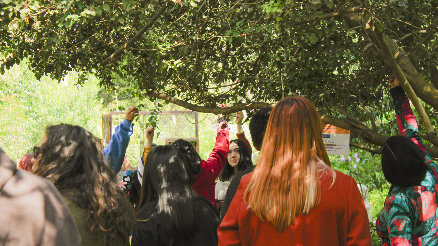 Realizamos “La ruta de las aves sabias”, un recorrido dirigido por el área educativa del museo, dónde conocimos especies nativas del Parque Potrerillos como el Molle Peludo.