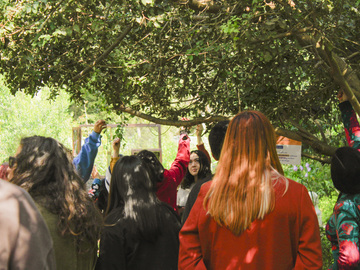 Realizamos “La ruta de las aves sabias”, un recorrido dirigido por el área educativa del museo, dónde conocimos especies nativas del Parque Potrerillos como el Molle Peludo.