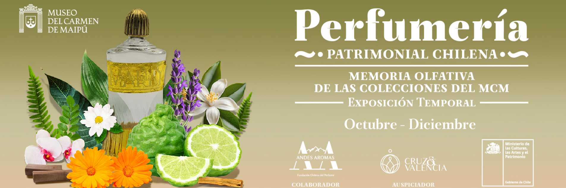 BANNER FB restauración mayo