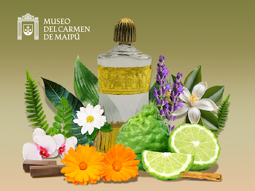 BANNER FB restauración mayo