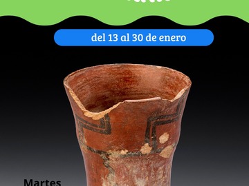 Museo tras bambalinas