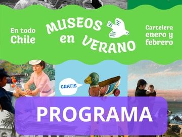 Programa de verano