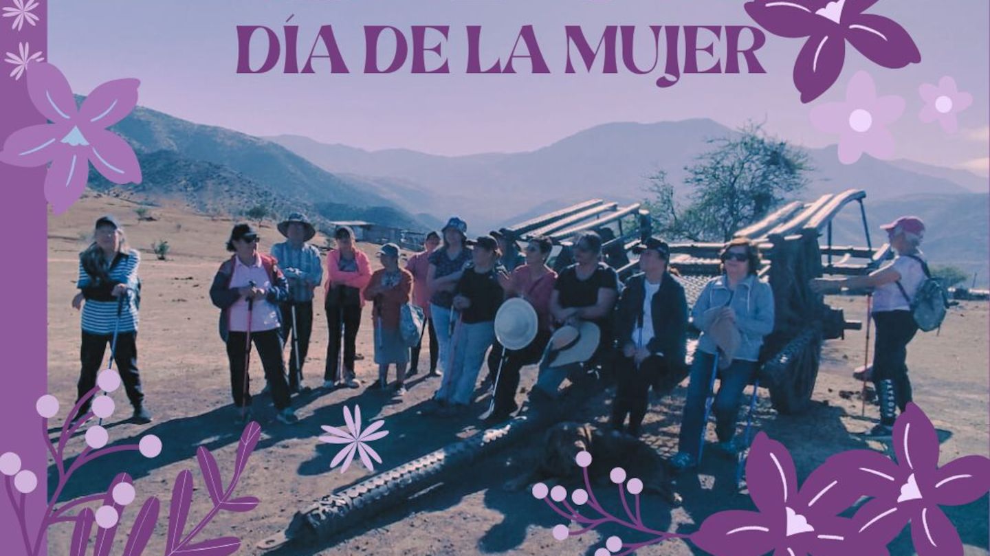 Post Instagram 8 de Marzo Día Internacional de la Mujer 8M Manifestación Frase Reivindicativa Floral Minimalista Moderno Morado - 1