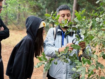Día Mundial del Agua y los Bosques