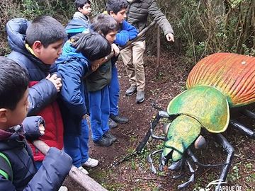 Parque de Insectos Ishiku Lemu / Museo Silvestre