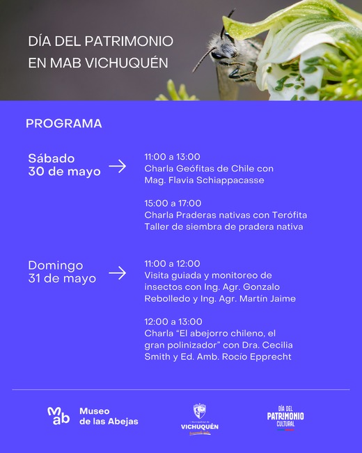 Horarios MAB  - 5
