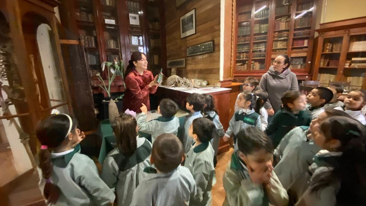 Política educativa MSV