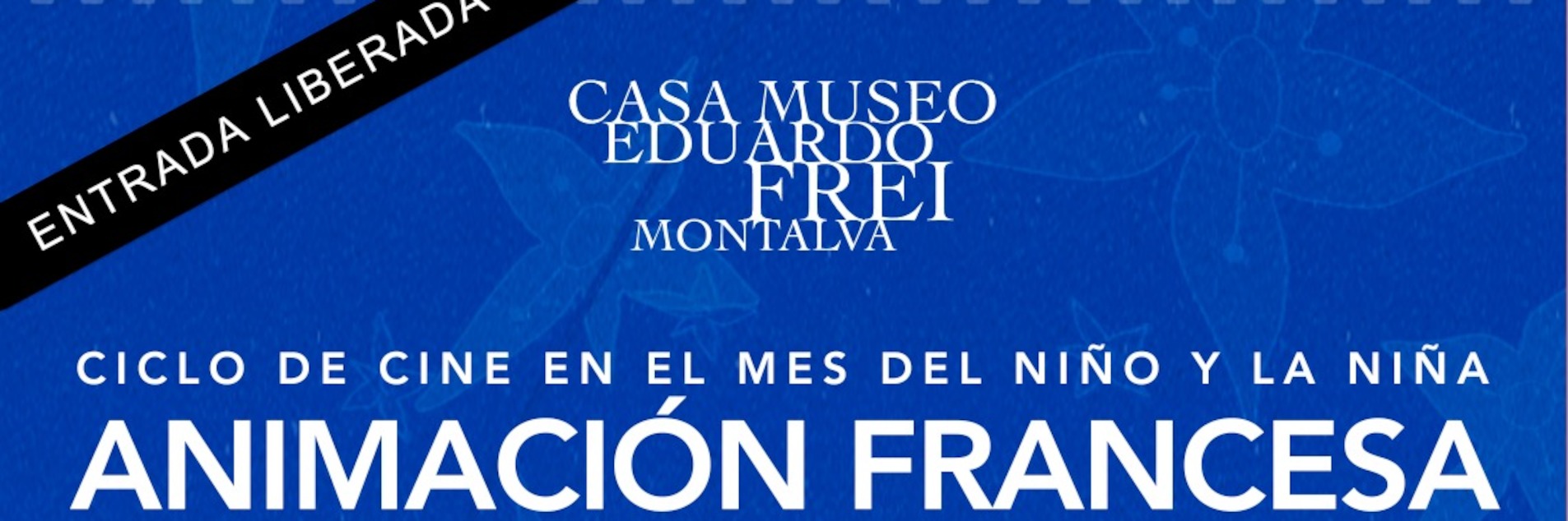 Animación Francesa