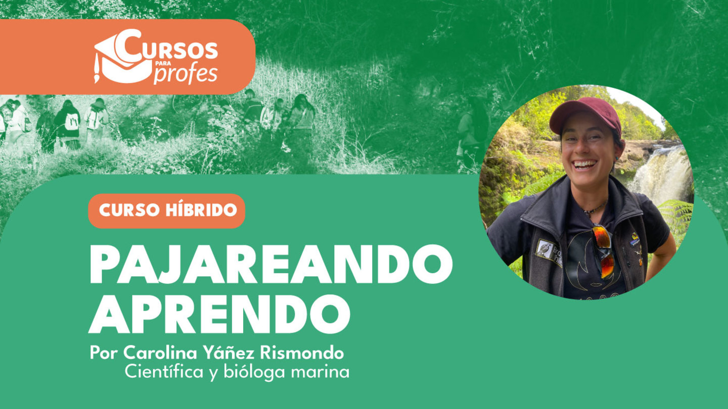 Curso de profes: Pajareando aprendo