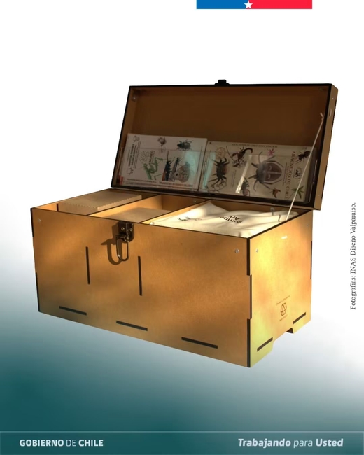 Caja descubrimiento artrópodos