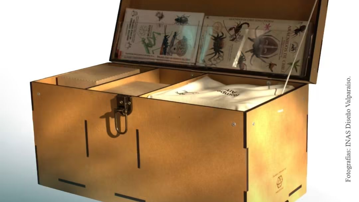 Caja descubrimiento artrópodos