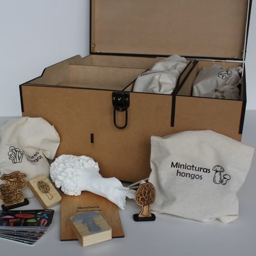 Caja descubrimiento fungi